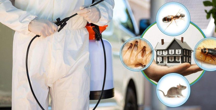 Asarlık Böcek İlaçlama