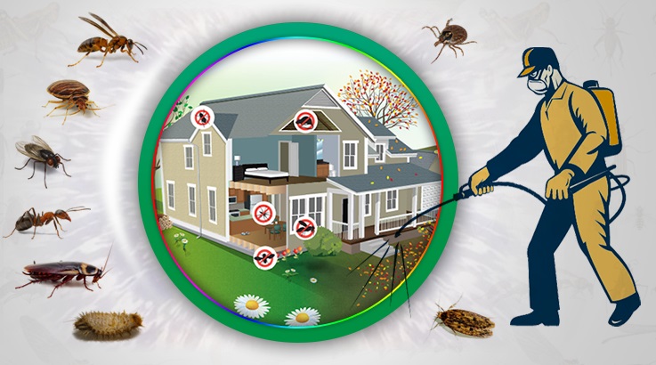 Asarlık Böcek İlaçlama