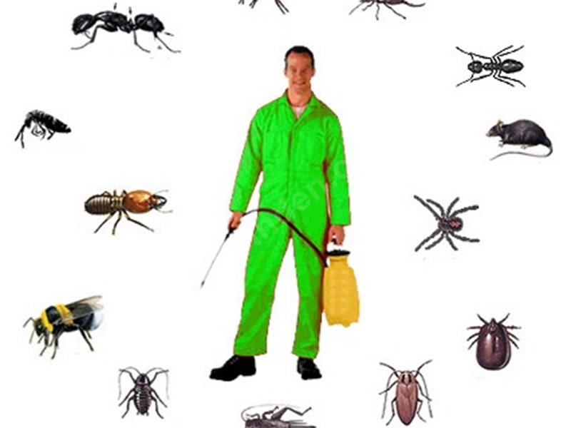 Asarlık Böcek İlaçlama